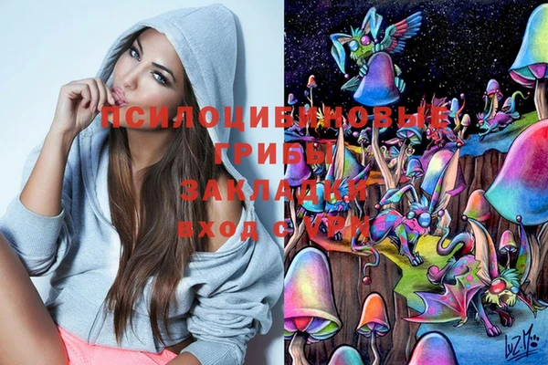 спиды Зеленодольск