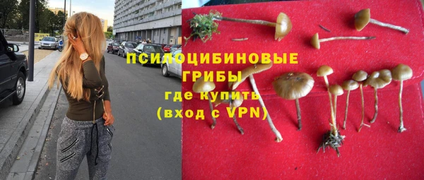 PSILOCYBIN Приозерск